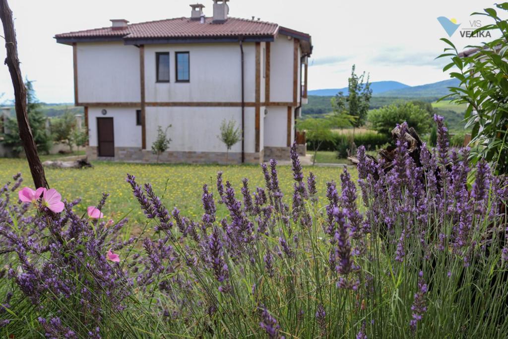Vis Velika Bed & Breakfast Exterior photo