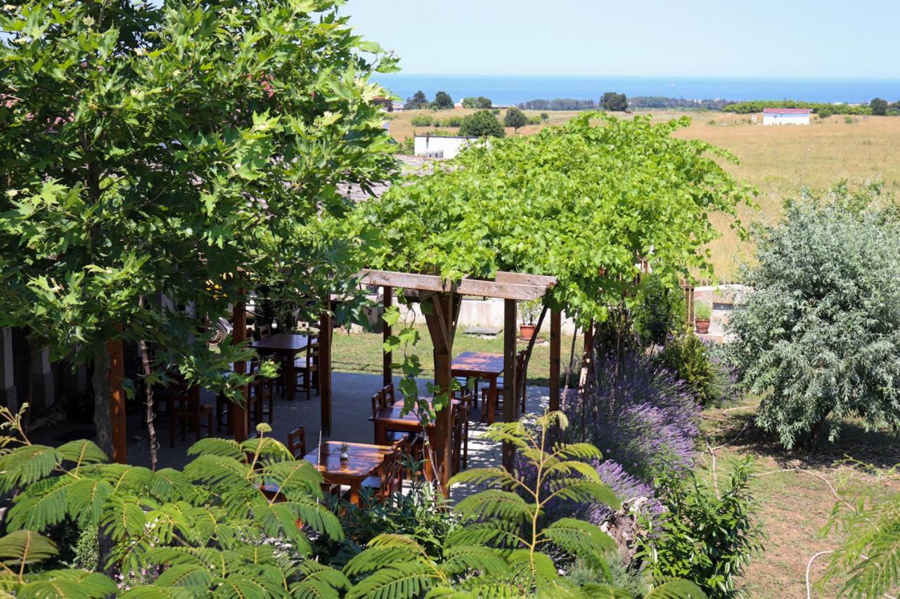 Vis Velika Bed & Breakfast Exterior photo